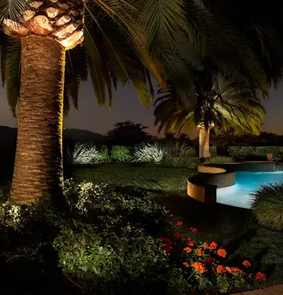 Landscape lighting installation we provide in Panama City FL with palm trees and poolside accents