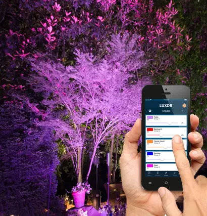 App-controlled color-changing outdoor lighting for residential landscaping
