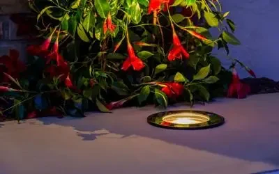 FX Luminaire flush-mounted light fixture illuminating red flowers on a concrete surface