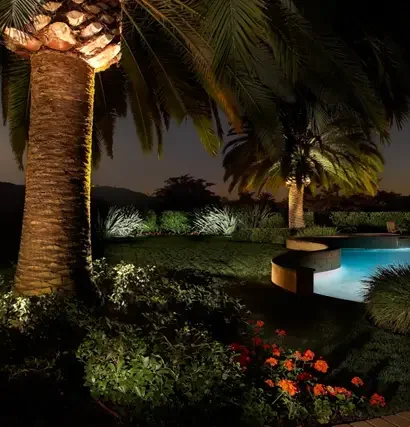 Landscape lighting installation we provide in Panama City FL with palm trees and poolside accents