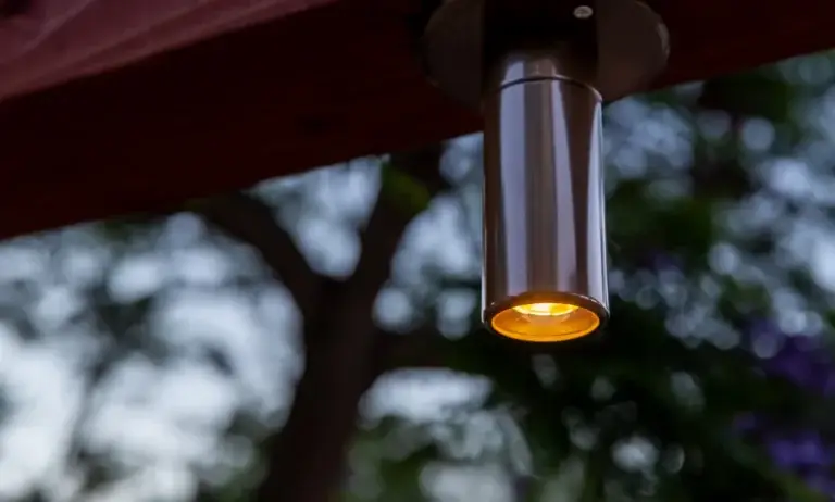 Stainless steel down light fixture used in custom landscape lighting in Panama City, Florida