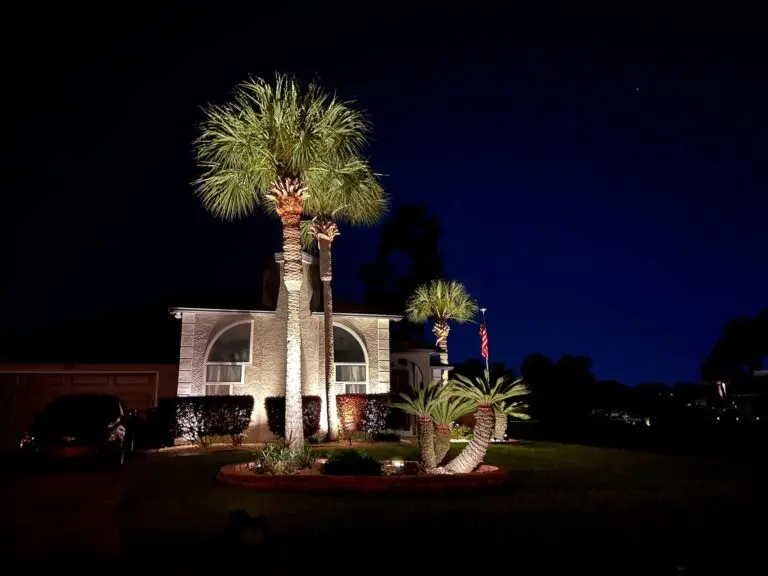 Palm trees and a home's exterior illuminated by Emerald Coast Illumination, showcasing elegant landscape lighting and increased nighttime safety.